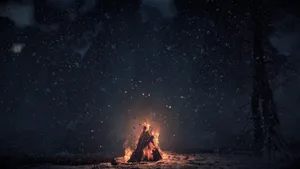 Campsite At Night Campfire Wallpaper