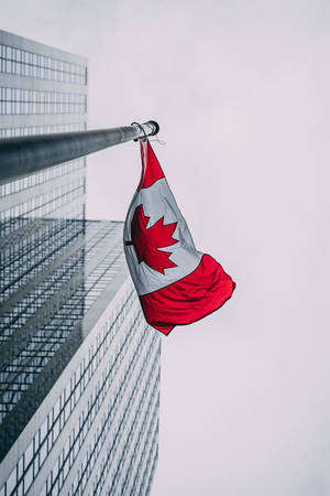 Canada Flag Building View Wallpaper