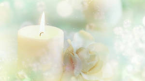 Candle And White Rose Wallpaper