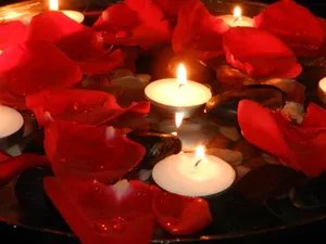 Candlelit Rose Petals Wallpaper
