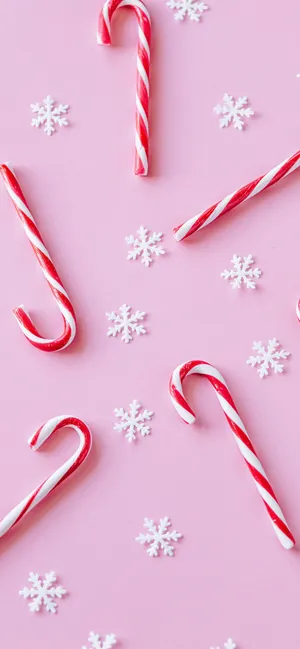Candy Cane Wonderland Pink Background.jpg Wallpaper