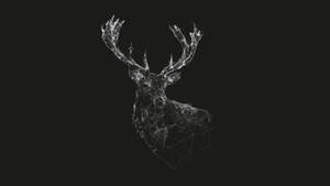 Canva Black And White Deer Art Wallpaper