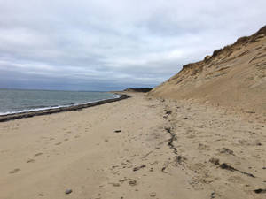 Cape Cod Footprints On The Sand Wallpaper