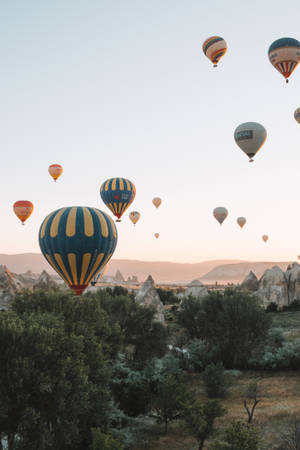 Cappadocia Balloons Forest Wallpaper