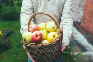 Caption: A Family Enjoying A Day Of Apple Picking At A Scenic Orchard Wallpaper