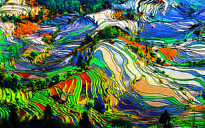 Caption: A Man Backpacking Along A Scenic Trail In Nature Wallpaper