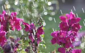 Caption: A Refreshing Spring Shower In A Lush Green Park Wallpaper