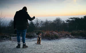 Caption: A Rustic Country Dog Enjoying The Serene Meadow Wallpaper