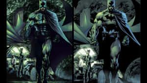 Caption: A Serene Forest Scene With Sunlight Streaming Through The Trees Wallpaper