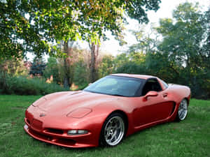 Caption: A Stunning Chevrolet Corvette C5 In Its Prime Wallpaper