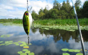 Caption: A Variety Of Colorful Fishing Baits On Display Wallpaper