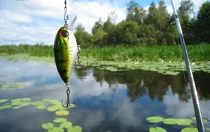 Caption: A Variety Of Colorful Fishing Baits On Display Wallpaper