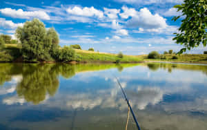 Caption: A Vibrant Collection Of Fishing Bait At The Shoreline Wallpaper