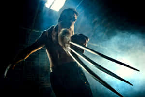 Caption: Adamantium Metal Power Wallpaper