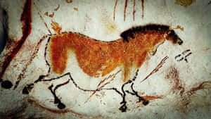 Caption: Ancient Artistry At Lascaux Caves Wallpaper