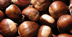 Caption: Beautiful Close-up View Of A Chestnut Wallpaper