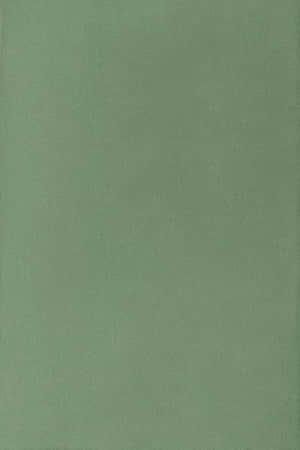 Caption: Beautiful Olive Green Textured Background Wallpaper