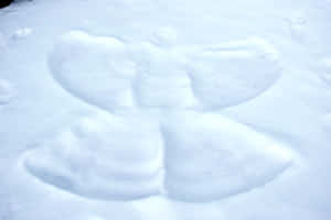 Caption: Beautiful Snow Angel On A Winter Day Wallpaper