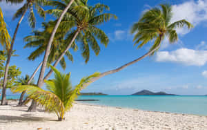 Caption: Breathtaking View Of Bora Bora Beach Paradise Wallpaper