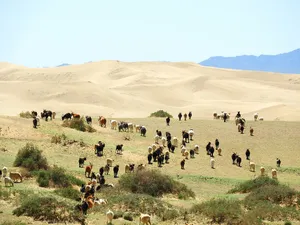 Caption: Breathtaking View Of Mongolia's Gobi Desert Wallpaper
