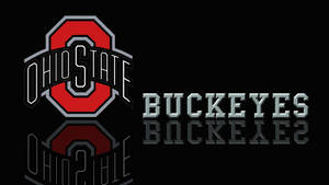 Caption: Buckeyes Pride At Ohio State University Wallpaper