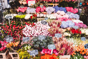Caption: Bustling Flower Market In Full Bloom Wallpaper