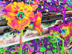 Caption: Captivating Trippy Neon Lights Display Wallpaper