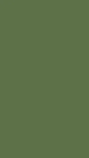 Caption: Charming Olive Green Gradient Wallpaper