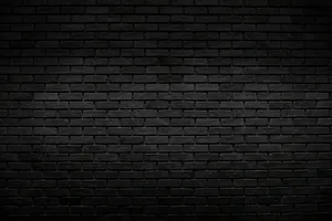 Caption: Classic Elegance In Monochrome Wallpaper