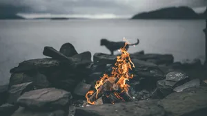 Caption: Cozy Fall Bonfire Gathering Wallpaper