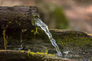 Caption: Crisp, Refreshing Spring Water Wallpaper