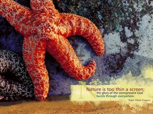 Caption: Crosscards Branded Computer Set Wallpaper