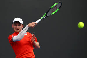 Caption: David Goffin Perfecting A Backhand Stroke Wallpaper