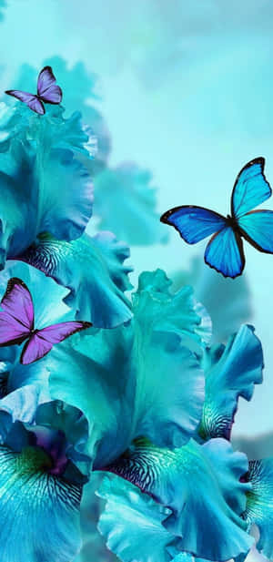 Caption: Delightful Spring Butterflies In A Vibrant Garden Wallpaper