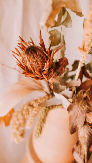 Caption: Elegant Arrangement Of Colorful Dried Flowers Wallpaper