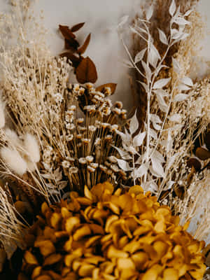 Caption: Elegant Arrangement Of Colorful Dried Flowers Wallpaper