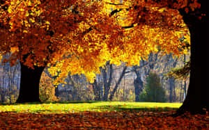 Caption: Enchanting Fall Landscape Wallpaper