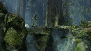 Caption: Enchanting Forests Of Endor Wallpaper