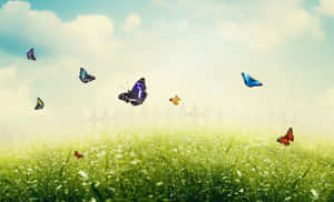 Caption: Enchanting Spring Butterflies Wallpaper