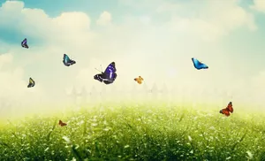 Caption: Enchanting Spring Butterflies Wallpaper