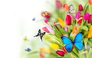 Caption: Enchanting Spring Butterflies In A Blossoming Garden Wallpaper