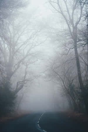 Caption: Enveloped In The Serenity Of Fall Mist Wallpaper