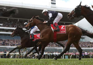 Caption: Exciting Race Day At The Melbourne Cup Wallpaper