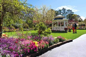 Caption: Exquisite Sight Of Toowoomba's Landscape Wallpaper