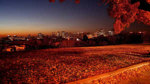 Caption: Fall City Scenic Landscape Wallpaper