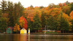 Caption: Fall City Scenic Vista Wallpaper