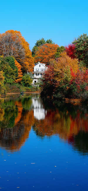 Caption: Fall Lake Scenery Wallpaper