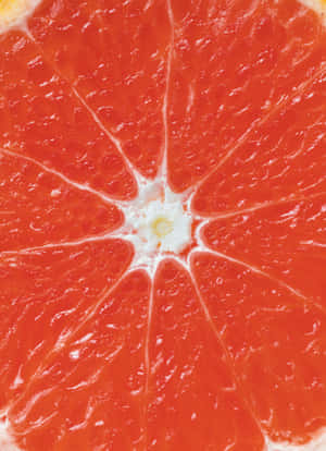 Caption: Fresh And Juicy Pink Grapefruit Slices Wallpaper