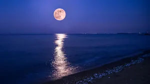 Caption: Impressive Strawberry Moon Lighting The Night Sky In 2019 Wallpaper