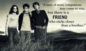 Caption: Inspirational Harry Potter Quote Wallpaper Wallpaper